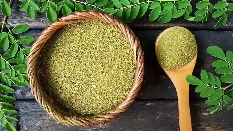 can you feed moringa to your pet