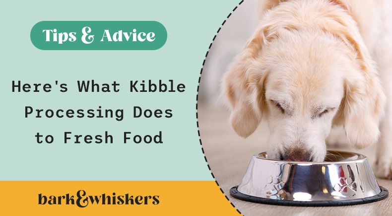 Why kibble shop is bad