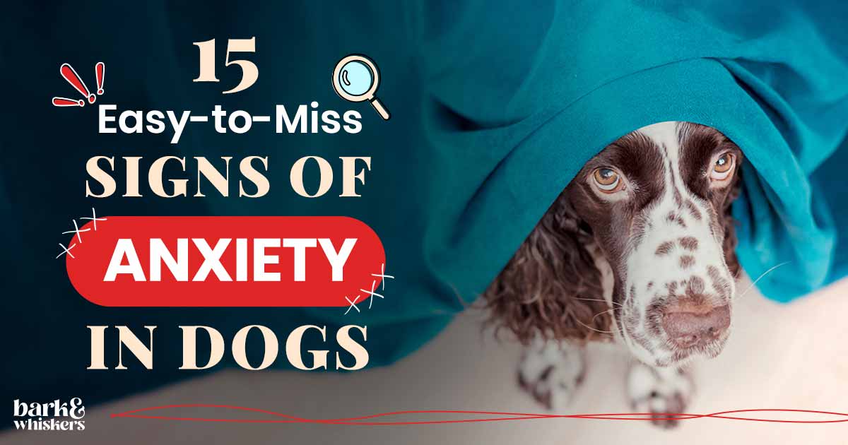 15-easy-to-miss-signs-of-anxiety-in-dogs