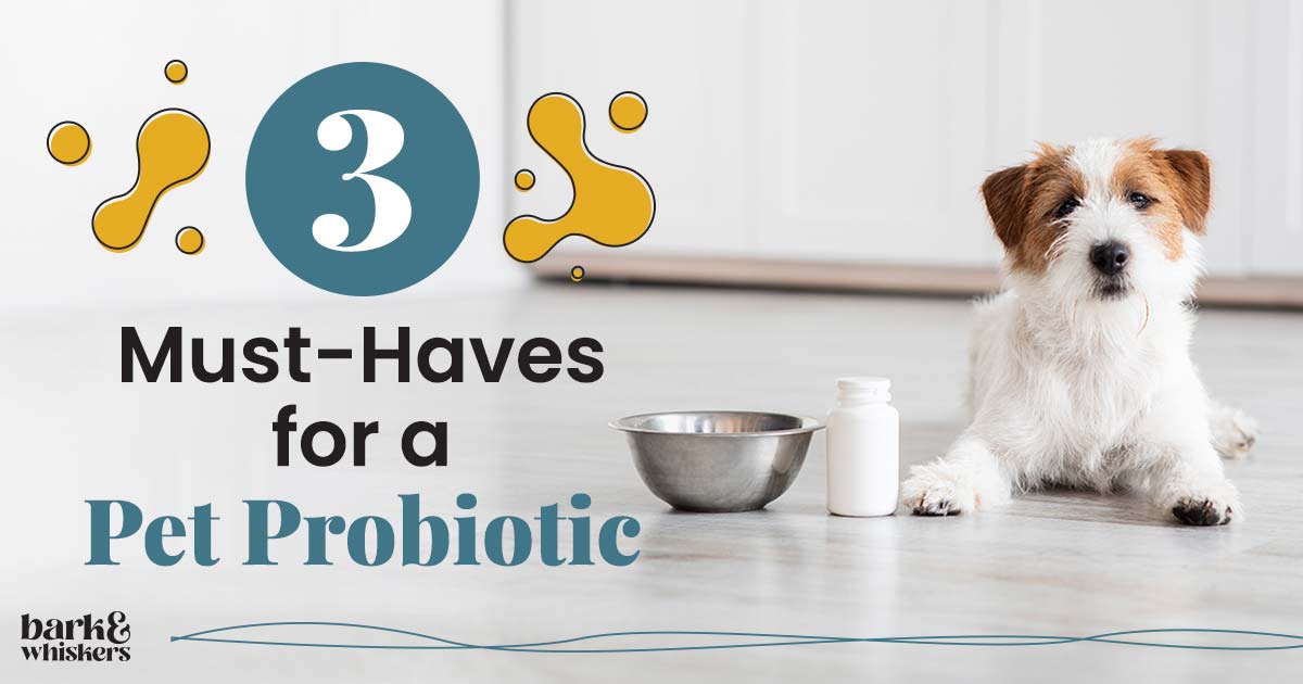 3 Must-haves For A Pet Probiotic