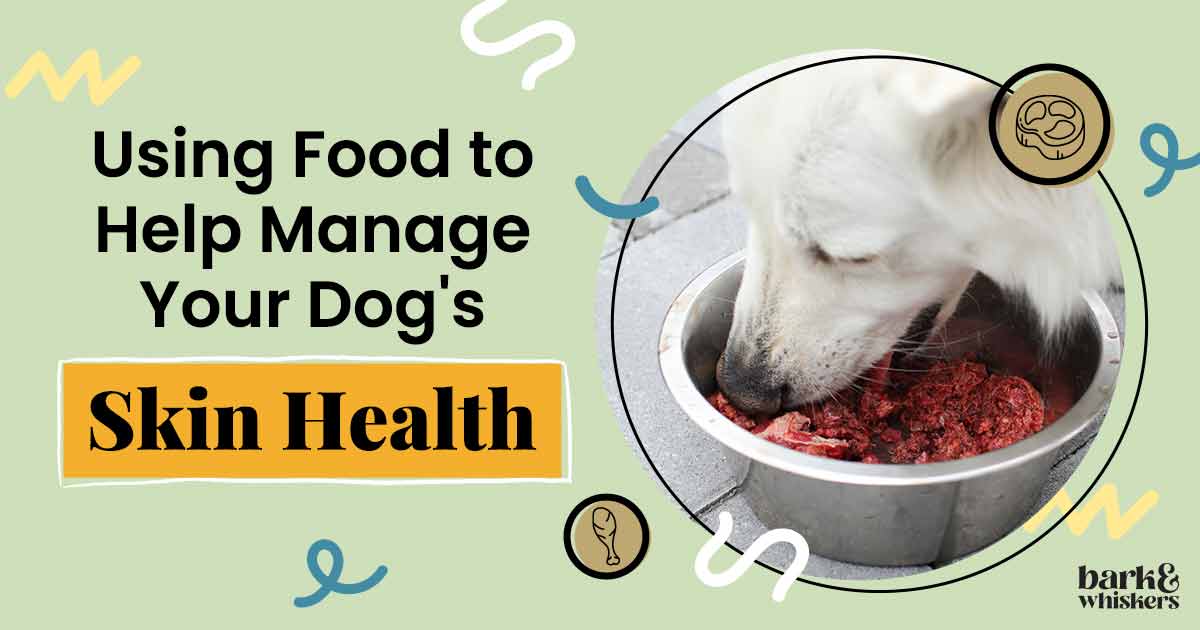 Using Food to Help Manage Your Dog s Skin Health