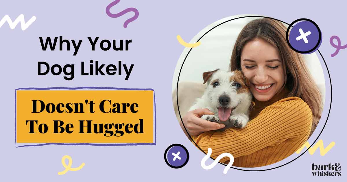 Why Your Dog Likely Doesn't Care To Be Hugged