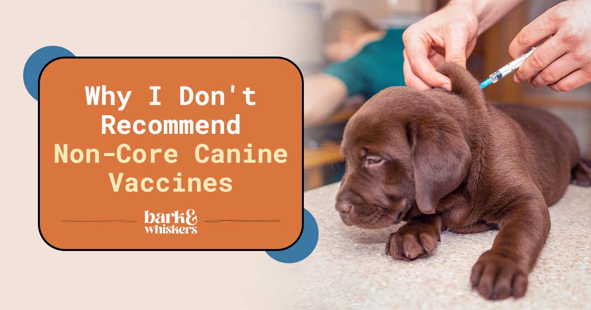 Why I Don't Recommend Non-Core Canine Vaccines