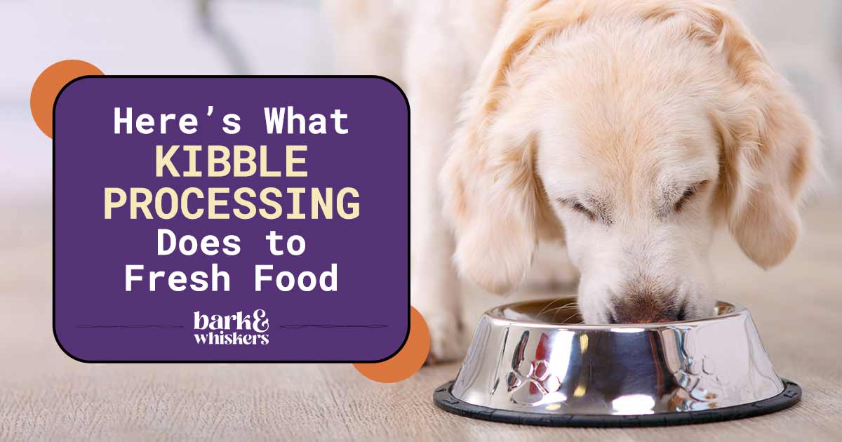 Here s What Kibble Processing Does to Fresh Food