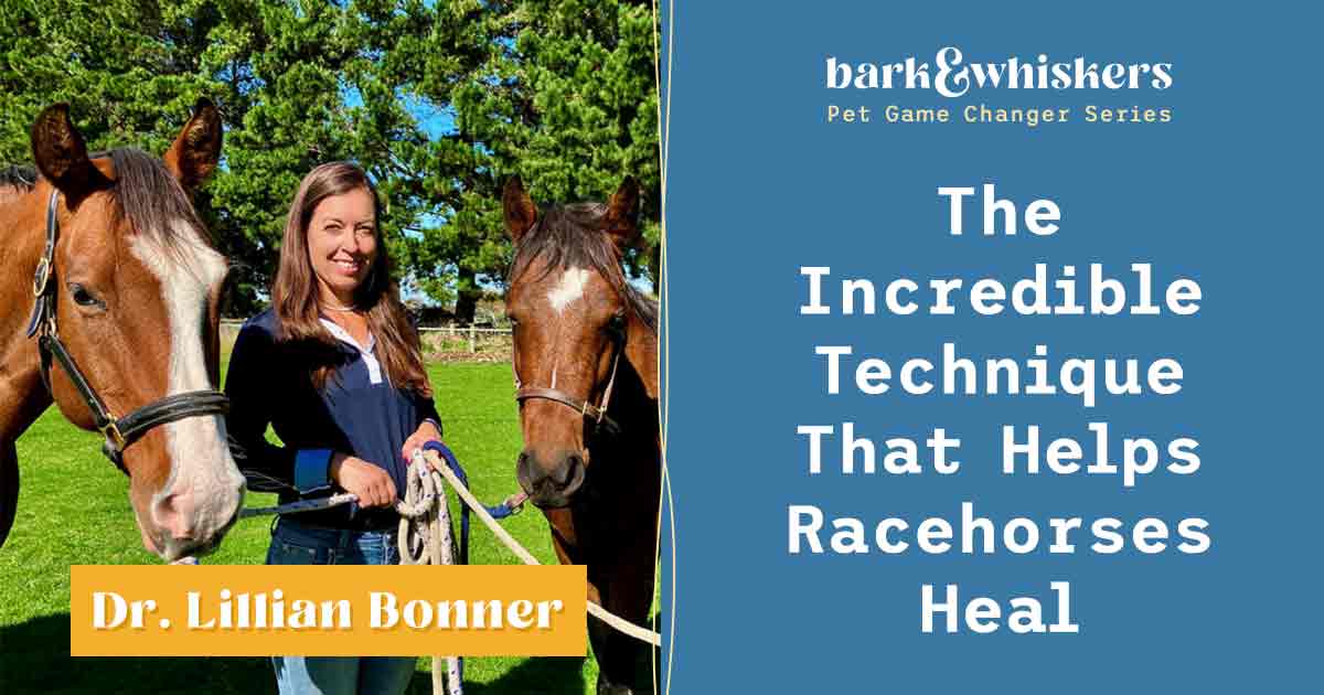 Boosting Healing in Horses With Non-Traditional Techniques