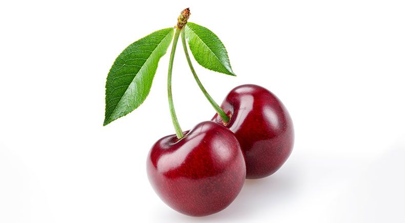 are-sweet-cherries-safe-for-pets