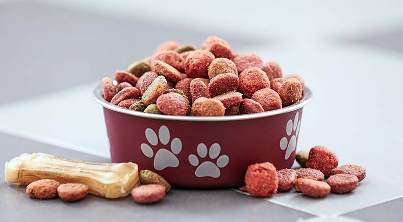 Dog food ranked store best to worst