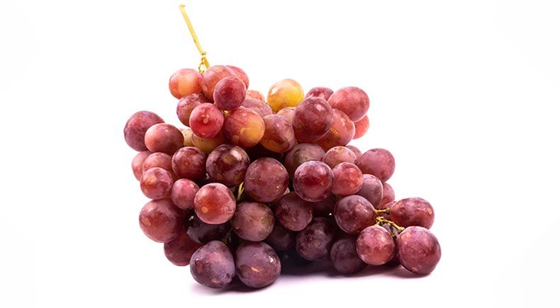 Are grapes toxic to clearance humans