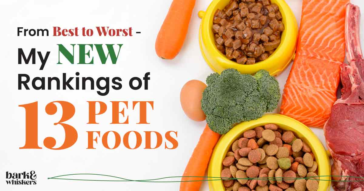 From Best to Worst - My NEW Rankings of 13 Pet Foods