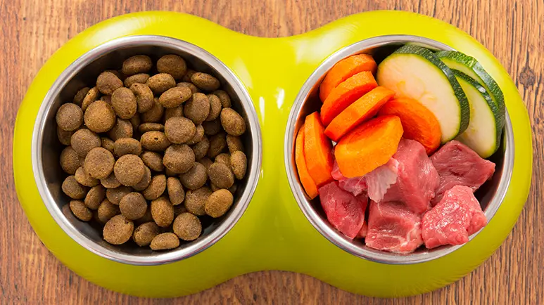 The best raw diet for outlet dogs