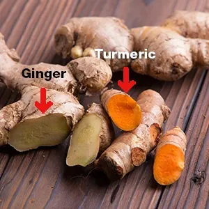 ginger vs. turmeric