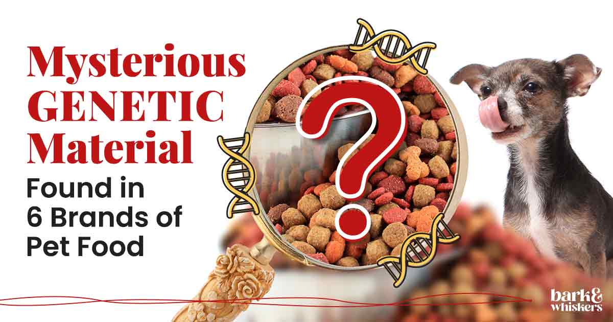 Mysterious Genetic Material Found in 6 Brands of Pet Food