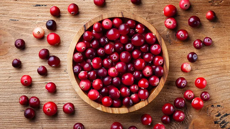 Can you outlet feed dogs cranberries