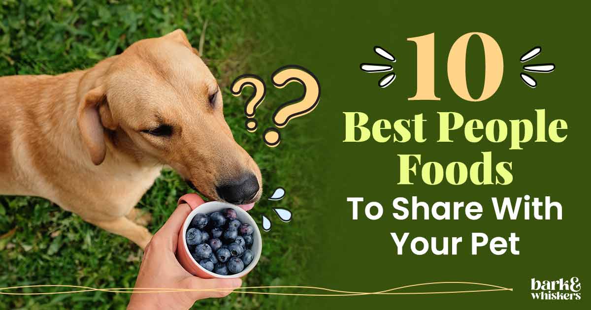 10 Best People Foods to Share With Your Beloved Pet