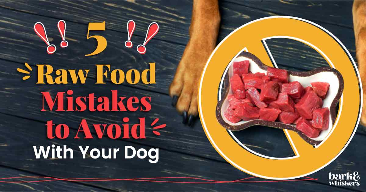 5 Raw Food Mistakes to Avoid With Your Dog