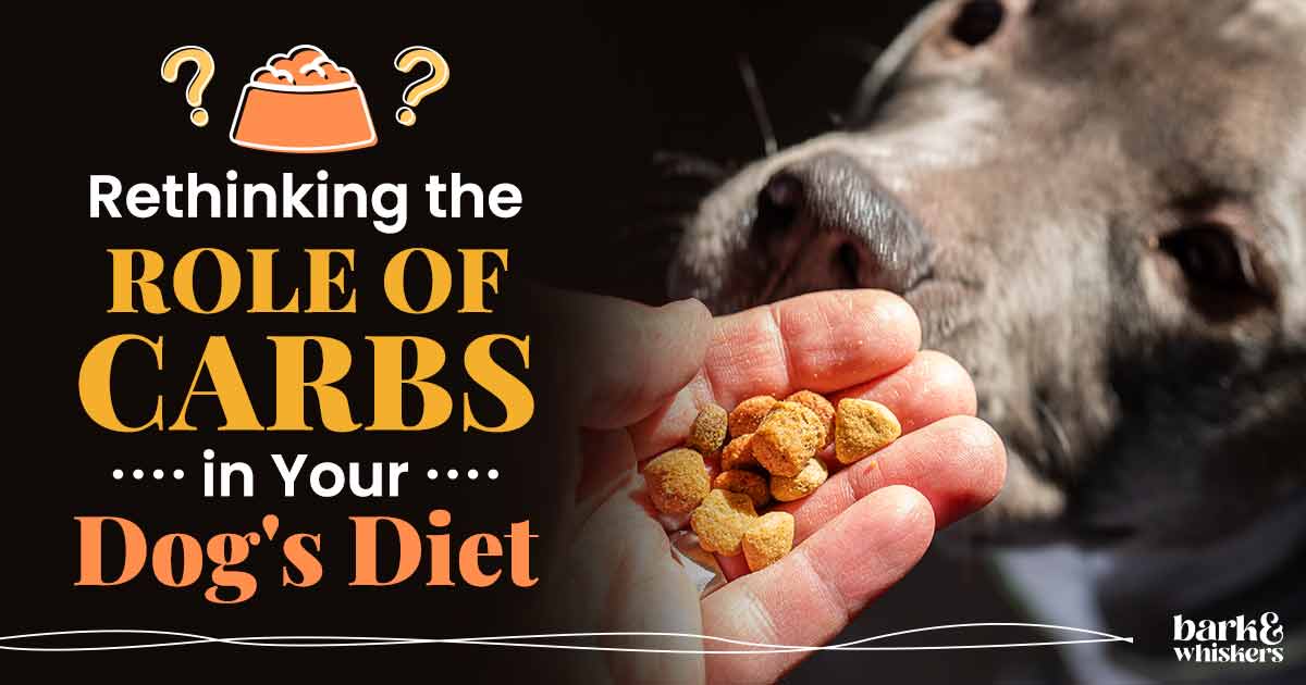 Role of Carbs in Your Dog s Diet