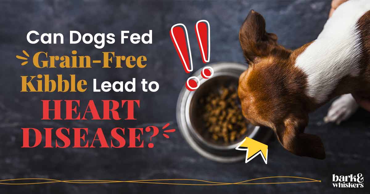 Heart disease in dogs from grain free food best sale