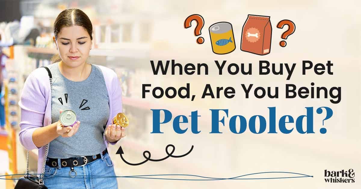 Pet fooled film best sale