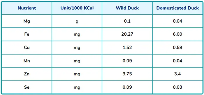 difference between wild duck meat and domesticated duck meat