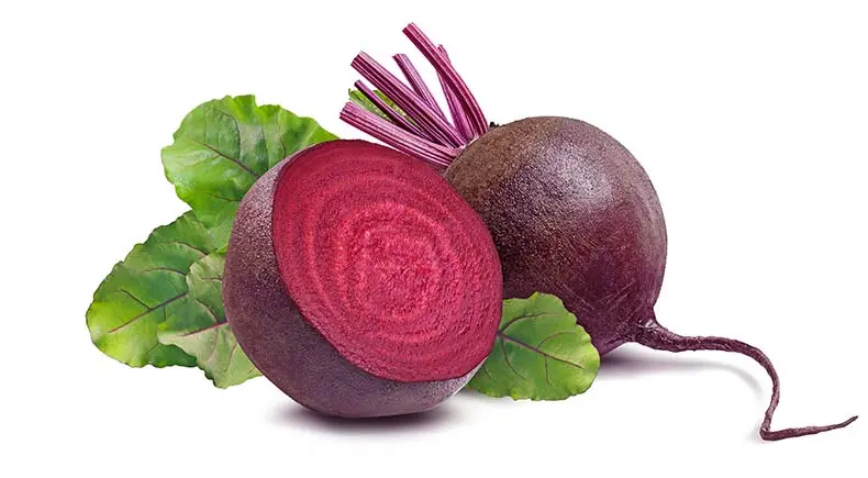 Beets This Vibrant Root Veggie Offers Your Pet Antioxidants