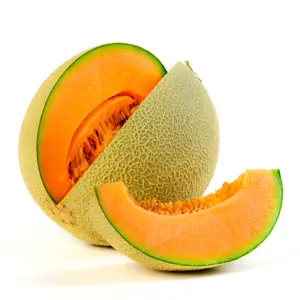 cantaloupe versus muskmelon