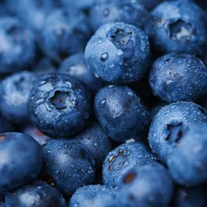 fun fact about blueberries