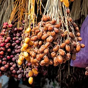 dates fruit trivia