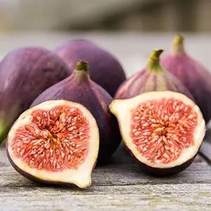 figs fun fact