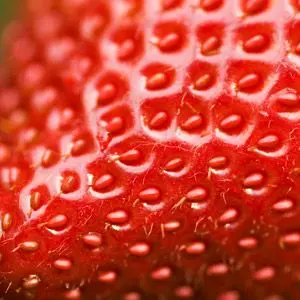 strawberry seeds