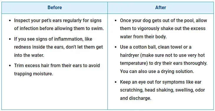 steps before and after swimming