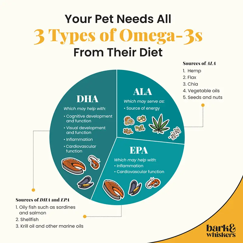 3 types of omega 3s