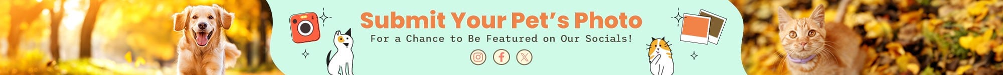 submit pet photo banner