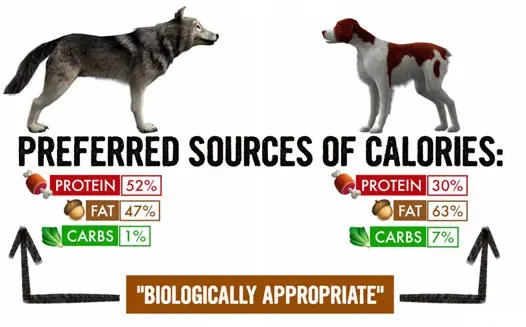 wolf vs dog sources of calories