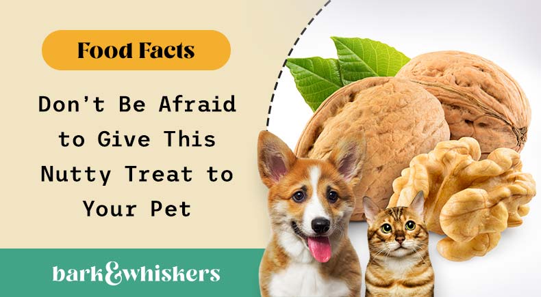 Are Walnuts Safe for Pets?