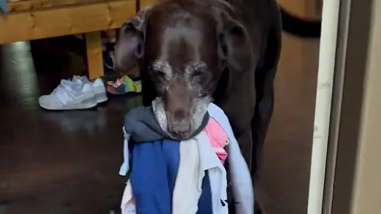 duke loves greeting mom with gifts