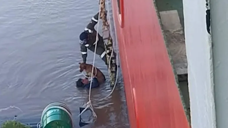ship crew unites to rescue dog
