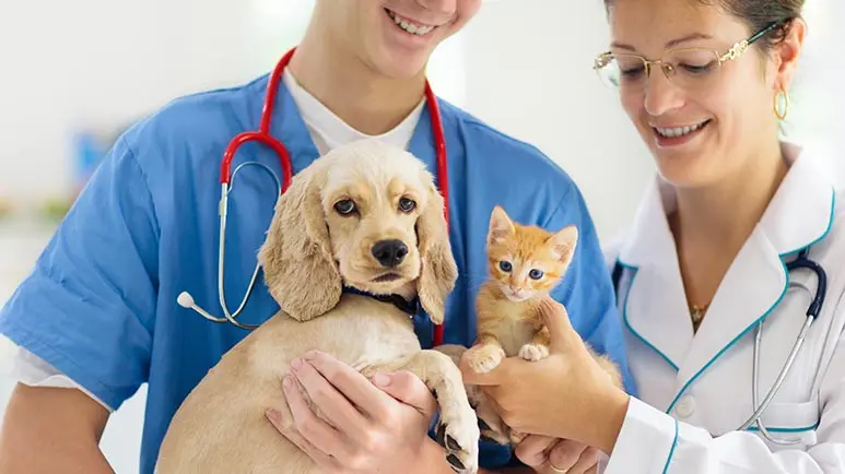pet regular preventive care