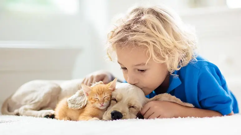best pet for children with autism