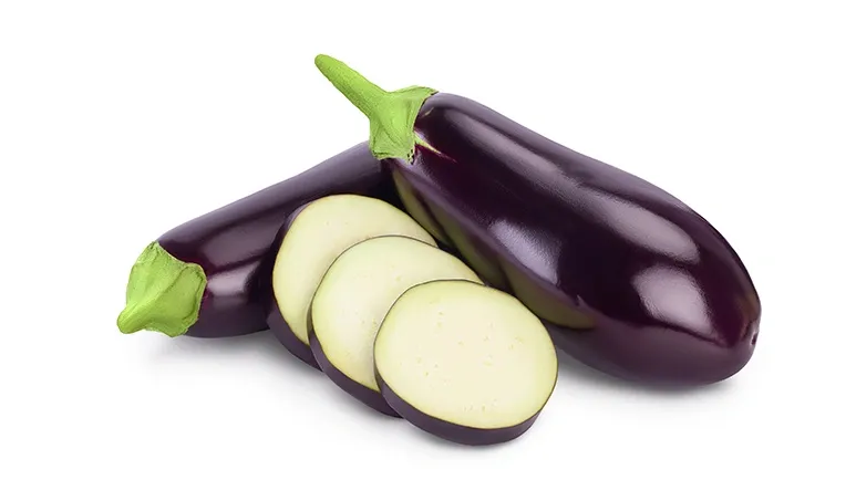 can you feed eggplant to your pet