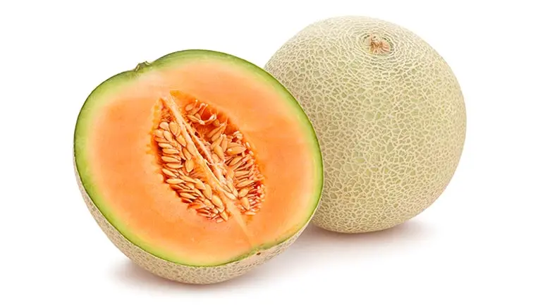 can you feed cantaloupe to your pets