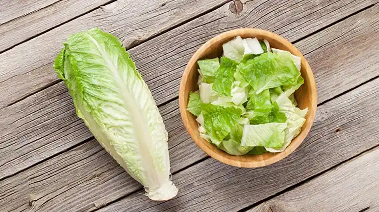 can you feed romaine lettuce to your pets