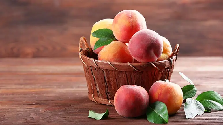 can you feed peaches to your pets