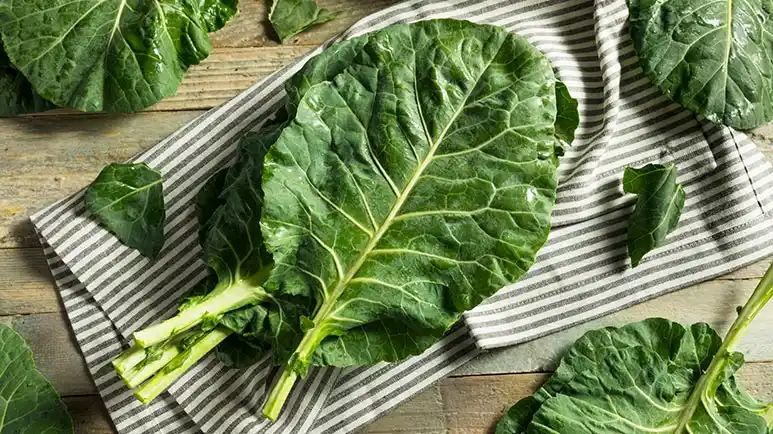 can you feed collards to your pet