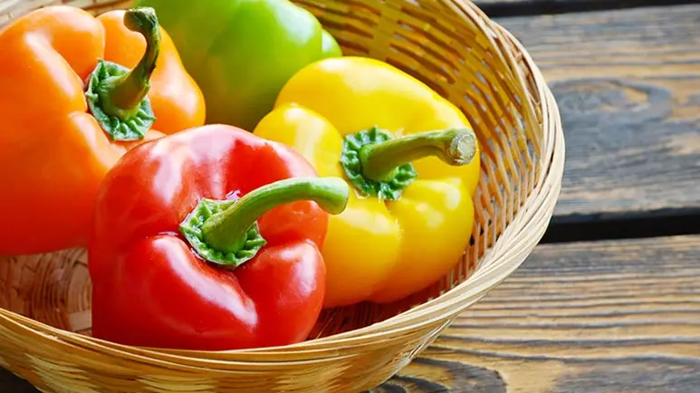 can you feed bell peppers to your pets