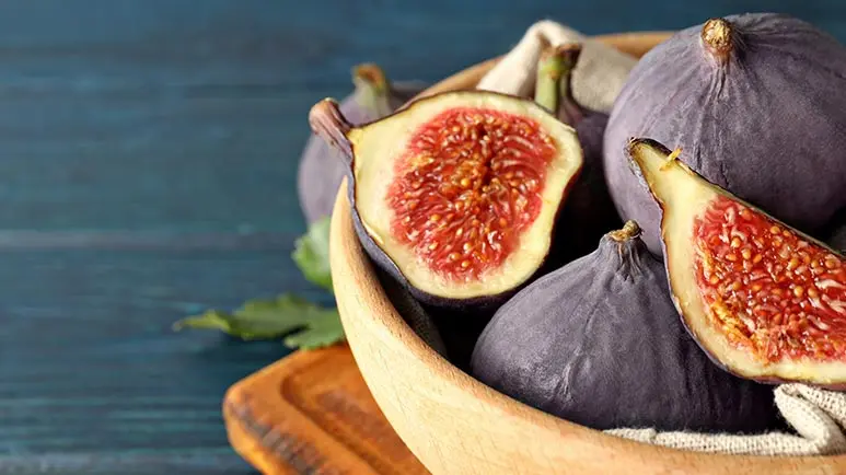 can you feed figs to your pets