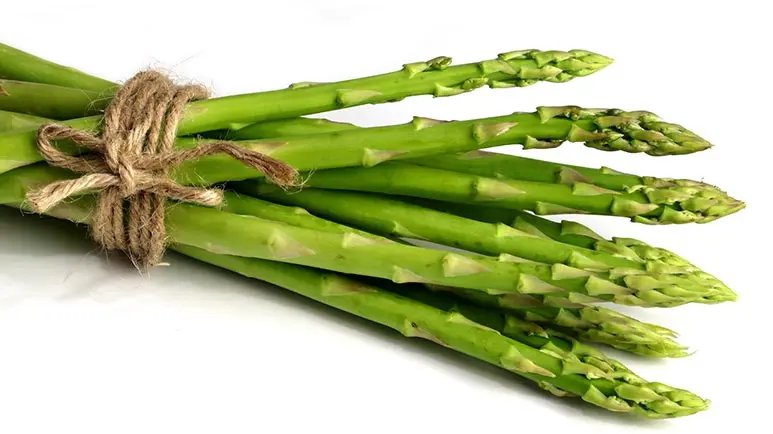 can you feed asparagus to your pets