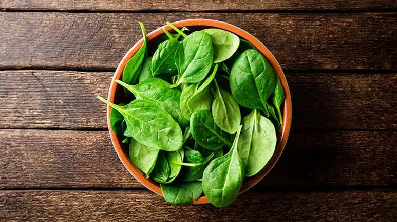 can you feed spinach to your pet