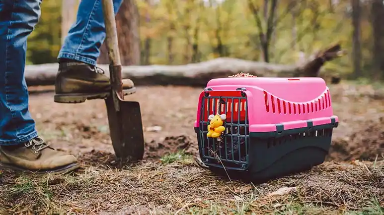 backyard burial for pets