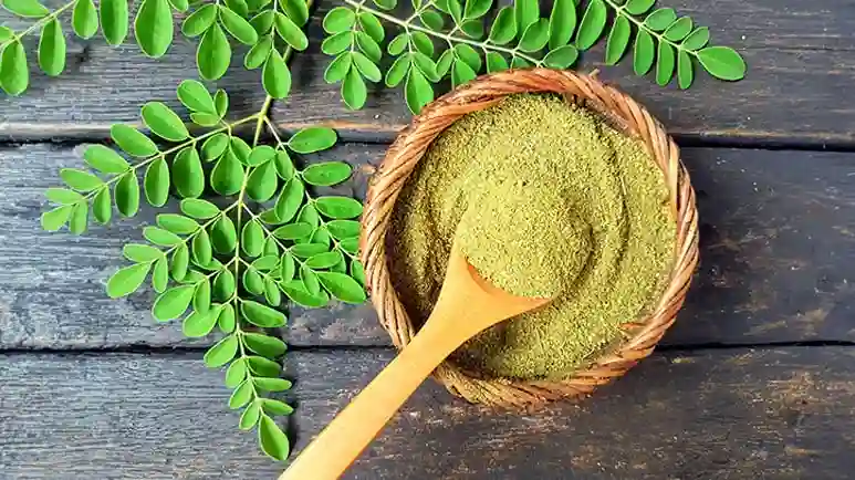 can you feed moringa to your pet