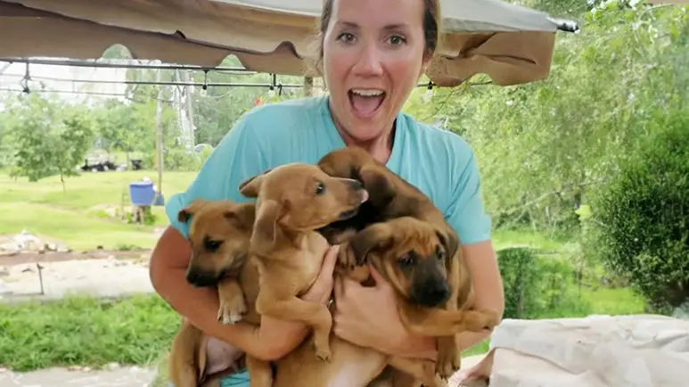 puppies in the front yard a dream come true